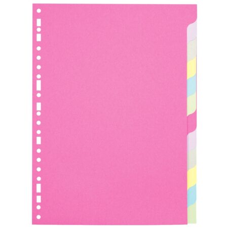 Intercalaires cartons – grand classeur 21x29.7 : x12